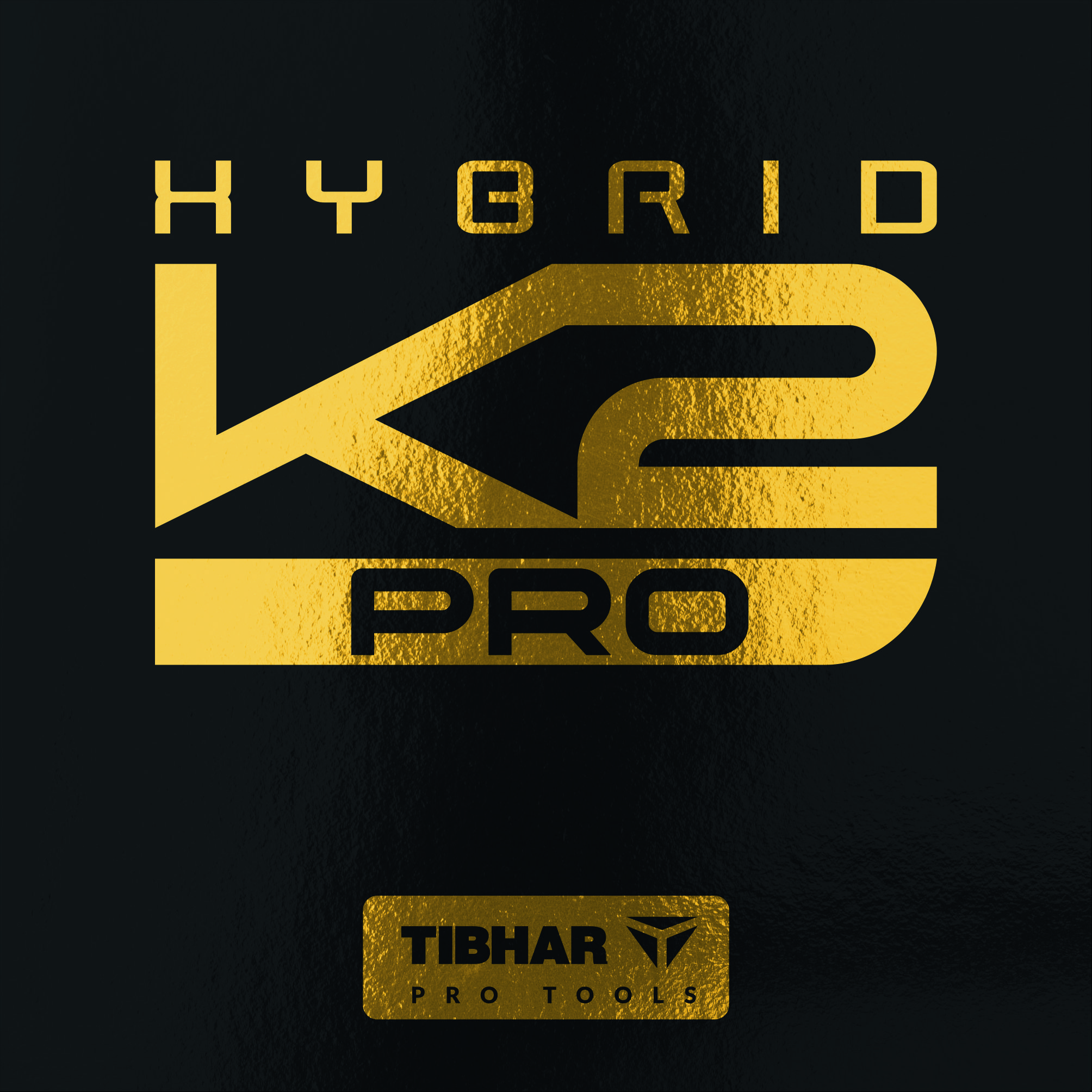 ★24年12月発売開始★ハイブリッド K2 PRO